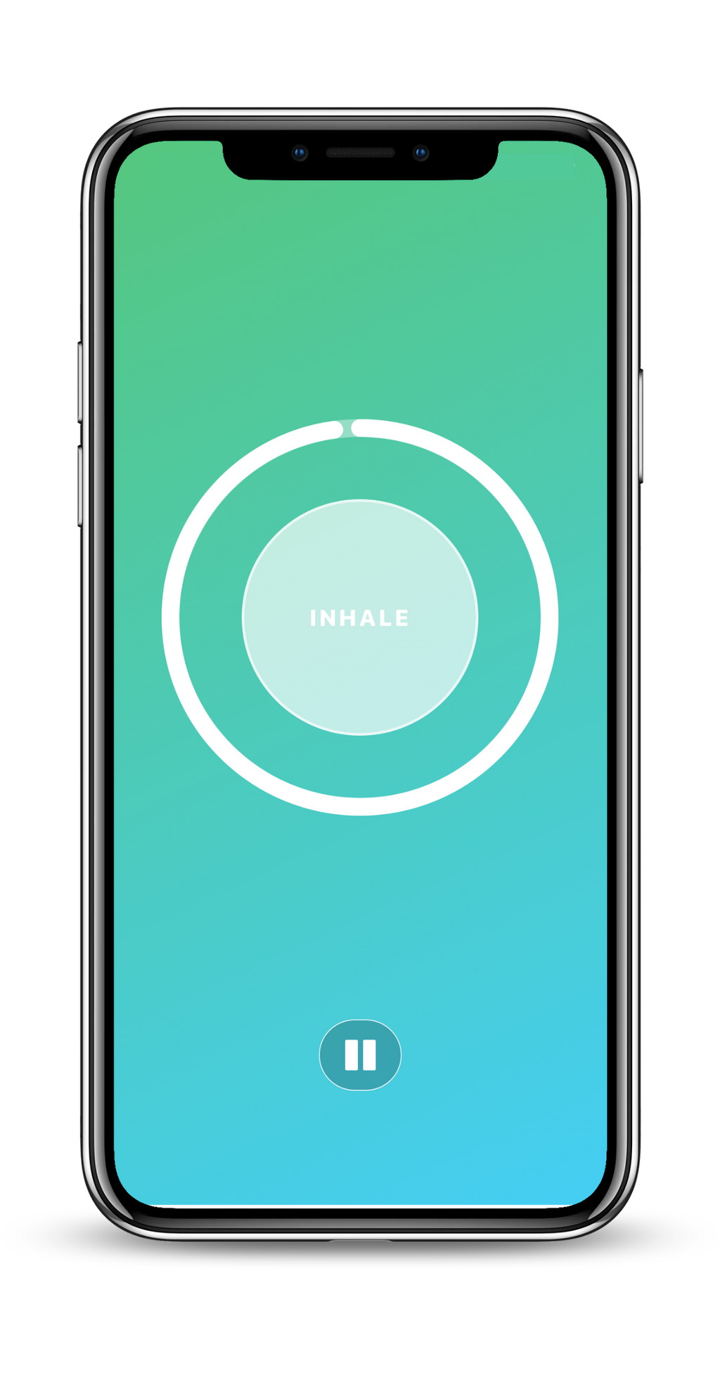 Foundation Pass (100 Day)