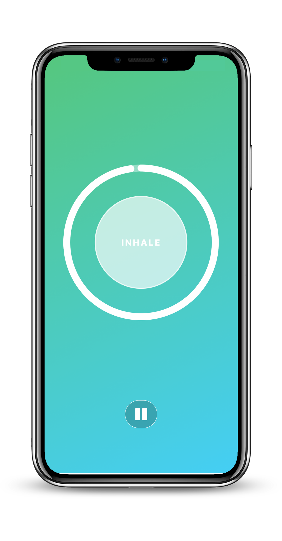 Foundation Pass (100 Day)